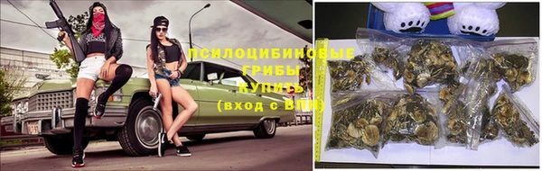 дмт Баксан