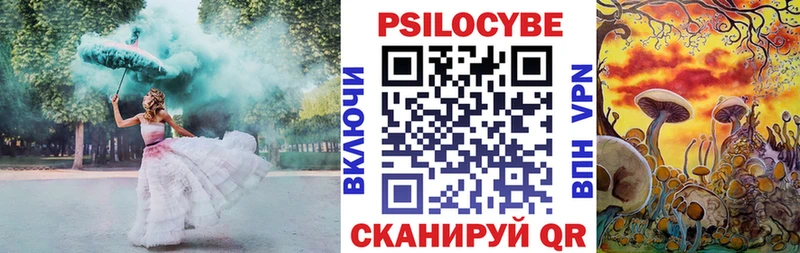дарнет шоп  Чулым  дарк нет телеграм  Галлюциногенные грибы мицелий 